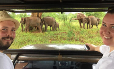 Elephant Safari at Kaudulla National Park