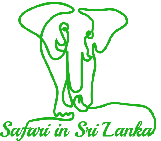 safari in sri lanka by Earth lanka events